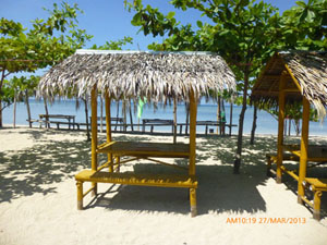 Sasa  Picnic Cottage